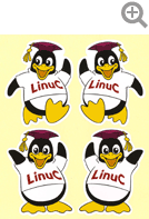 5番のステッカー